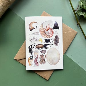 Natural Curiosities Card, Blank greeting card, watercolour