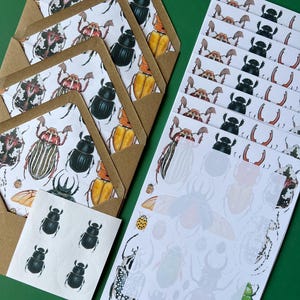 Beetles and Bugs, Letter Writing Set, Stationery pack