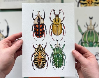 Fruit Beetles, Watercolour Fine Art Print, Entomology