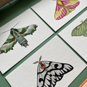 Moth Mini Print Set, Watercolour - Etsy