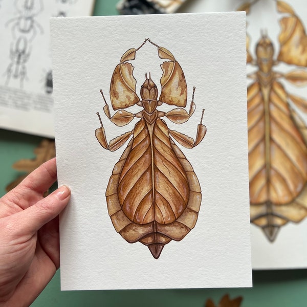 Leaf Insect, 100% cotton print