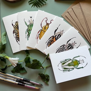Beetle Greeting Cards set of 6, Blank inside