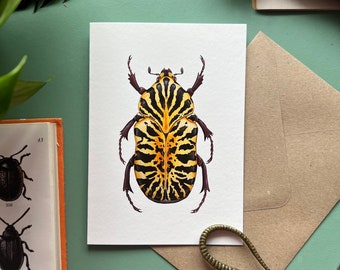 Gymnetis stellata Beetle, Blank Greeting Card