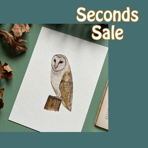 Seconds sale A5 Barn Owl Print