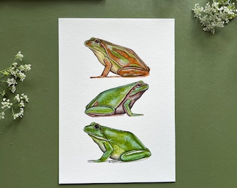 Baum Frösche Aquarell Fine Art Print