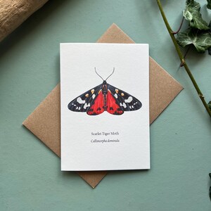 Scarlet Tiger Moth, Blanko Grußkarte