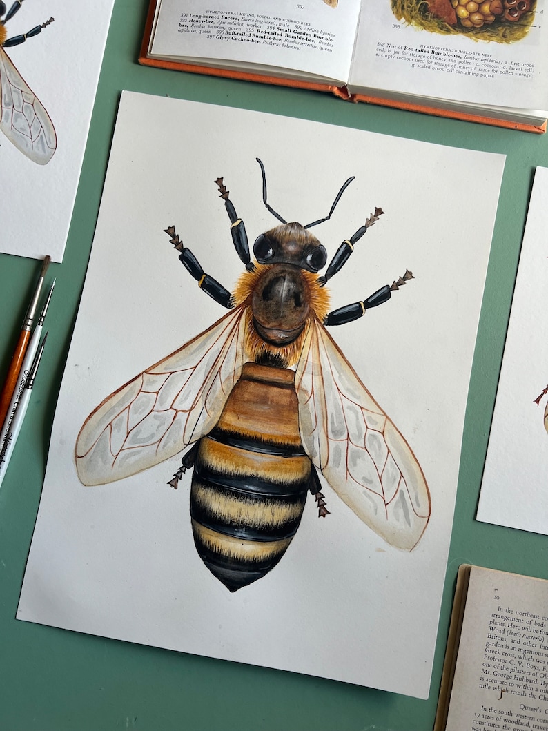 Original Honey Bee Watercolour Painting image 4