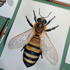 Original Honey Bee Watercolour Painting image 1