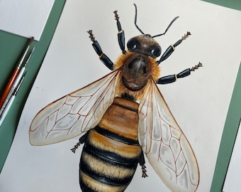 Original Honey Bee Watercolour Painting