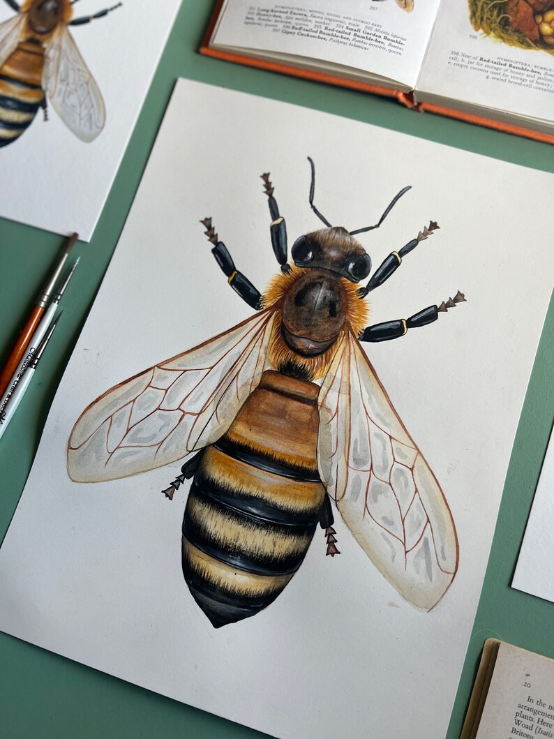 Original Honey Bee Watercolour Painting image 1