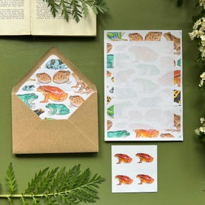 May include: A stationery set featuring frog illustrations. The set includes a brown envelope with a frog-patterned liner, a notepad with frog outlines, and a sheet of frog stickers. The frogs are depicted in various colors, including green, orange, and blue.