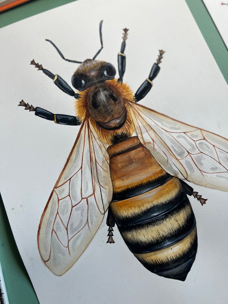 Original Honey Bee Watercolour Painting image 3