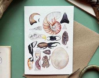 Natural Curiosities Card, Blank greeting card, watercolour
