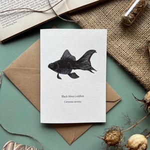 Poisson rouge des landes noires, carte de voeux vierge
