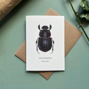 Horned Dung Beetle, Blank Greeting Card
