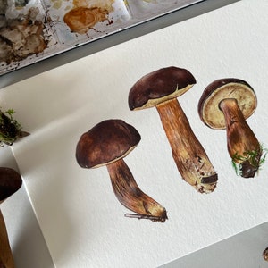 Bay Bolete Study, Print image 4