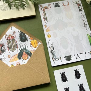以下が含まれることがあります： カラフルなカブトムシのイラストが描かれた模様の茶色の封筒。カブトムシの輪郭が描かれたお揃いの紙と、黒いカブトムシのステッカーシートも付いています。アイテムは緑色の表面に配置されています。