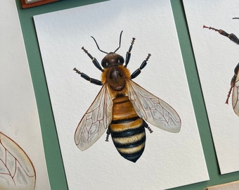 Honey Bee, 100% Cotton Fine Art, Watercolour