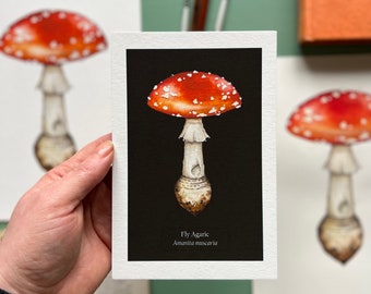 Fly Agaric/ Amanita muscaria, black with text , fine art, mycology print