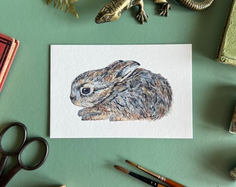 Leveret / Baby Hare A6 Print, Watercolour Illustration