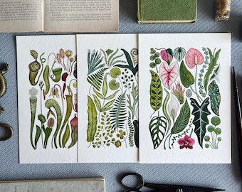 Plants Print Set