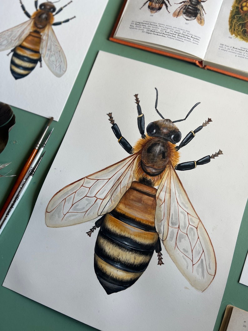 Original Honey Bee Watercolour Painting image 5