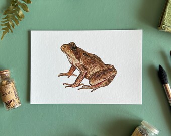 Common Frog A6 Print, Watercolour Illustration