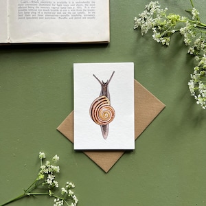 May include: A watercolour greeting card depicting a snail with a brown and tan shell. The card rests on a brown envelope, set against a green backdrop with white flowers.