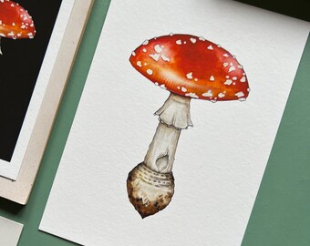 Fly Agaric/ Amanita muscaria, mycology print