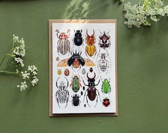 Käfer Karte, Blanko, Grusskarte, Aquarell Druck