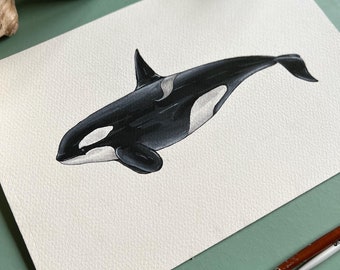 Original Orca Watercolour Painting