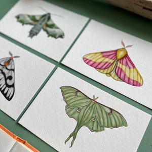Moth Mini Print Set, Watercolour - Etsy
