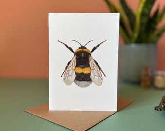 White tailed bumblebee, Blank greeting card