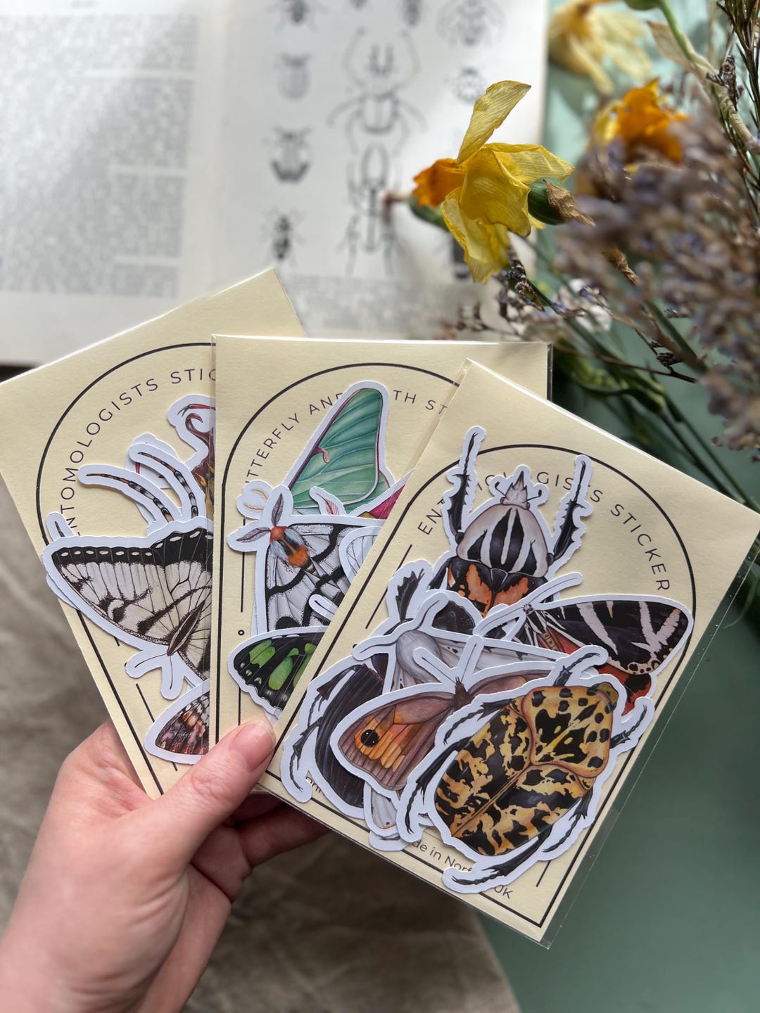 Insect Sticker Packs - Etsy