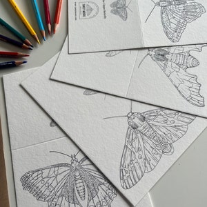 Butterfly and Moth Colouring in Cards image 3