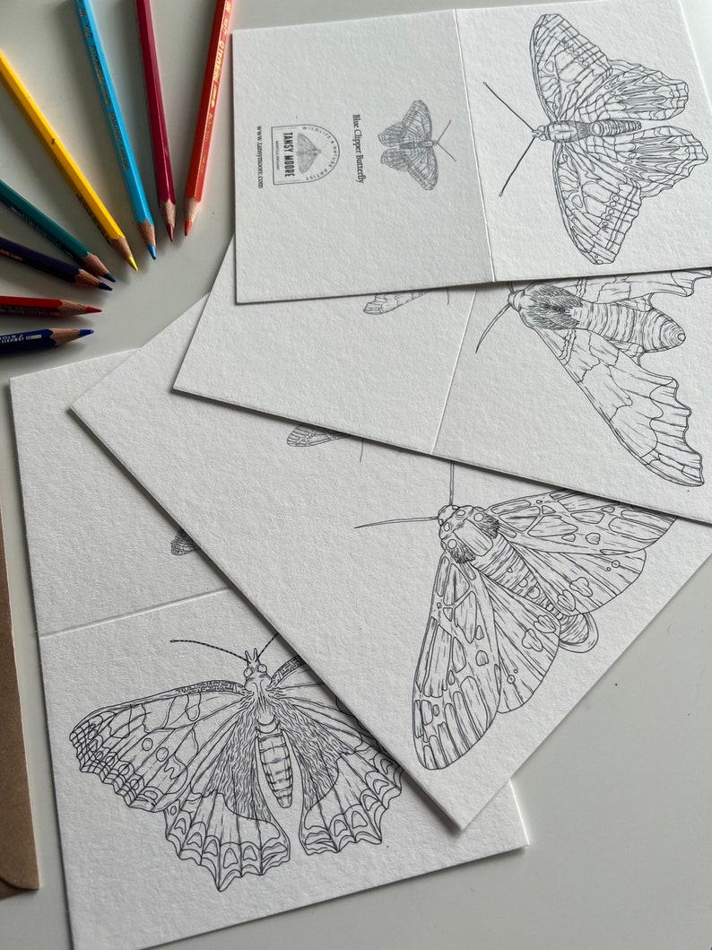 Butterfly and Moth Colouring in Cards image 3