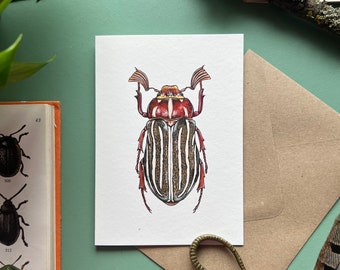 Ten-lined June Beetle, Blank Greeting Card