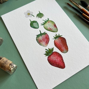 Ripening Strawberries Print, A5 Watercolour Fine Art Print image 2