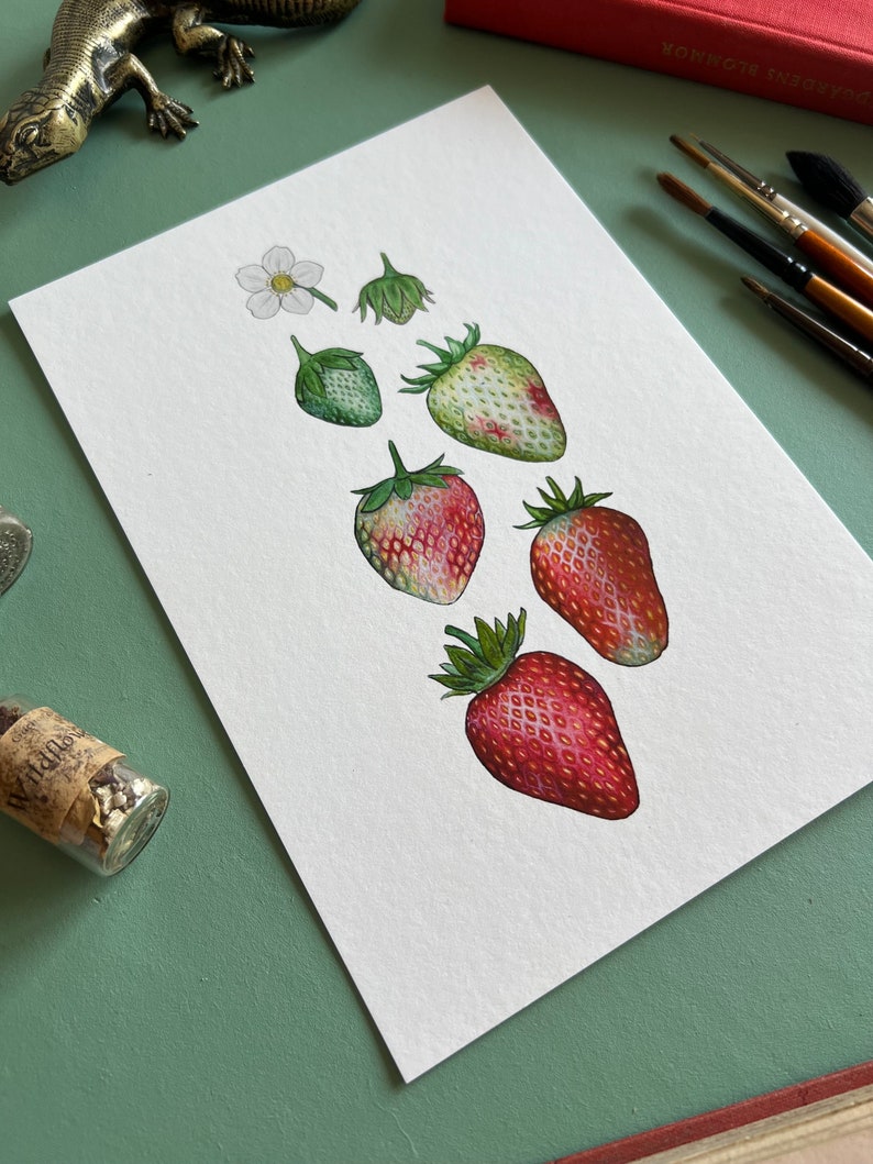 Ripening Strawberries Print, A5 Watercolour Fine Art Print image 2