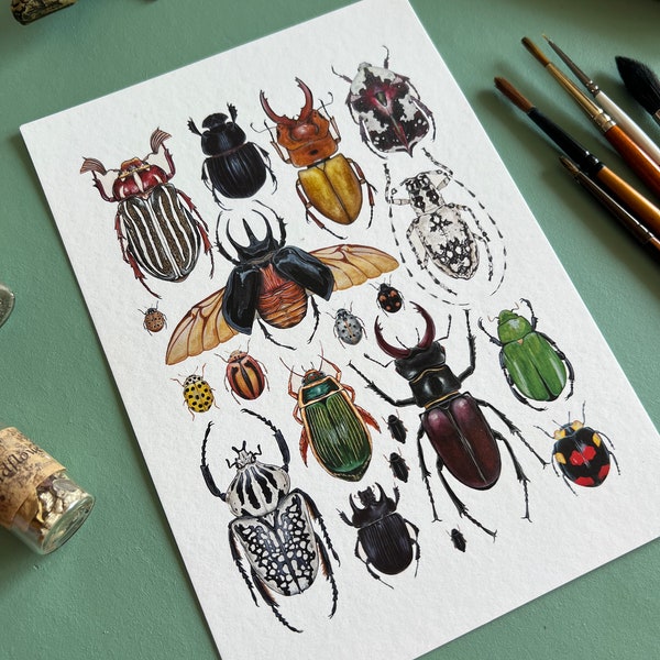 Beetles, Watercolour Fine Art Print, Entomology