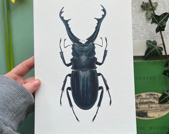 Giraffe Stag Beetle, Watercolour Fine Art Print, Entomology