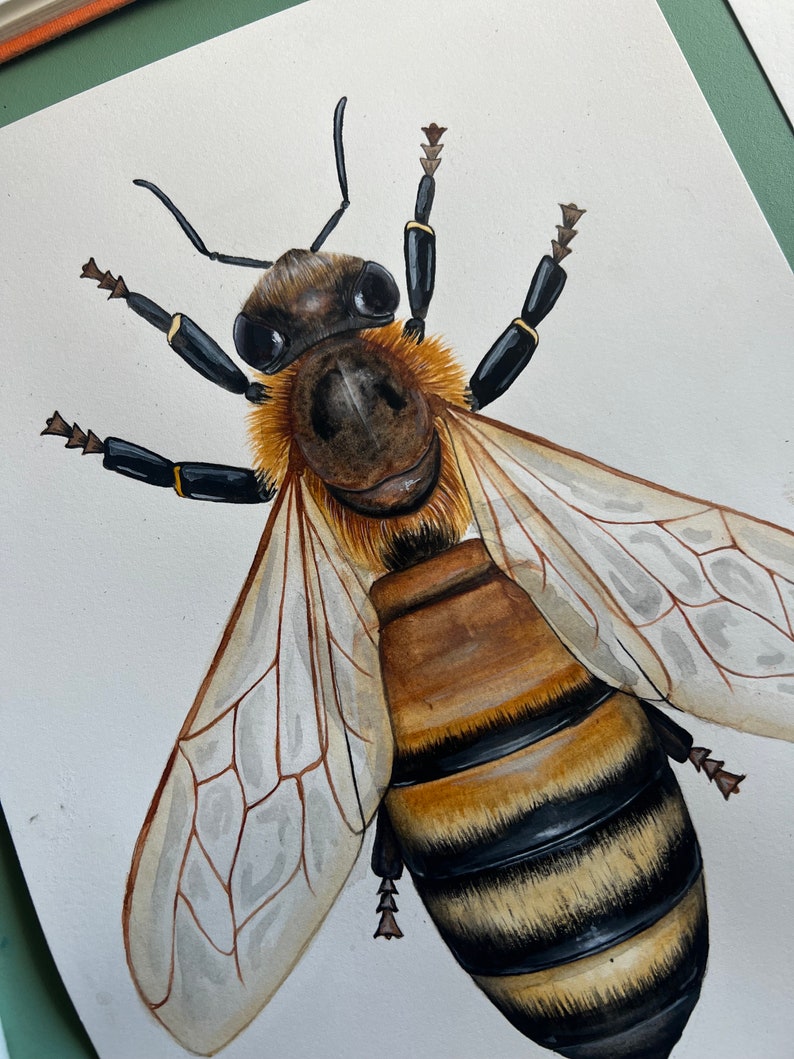 Original Honey Bee Watercolour Painting image 2