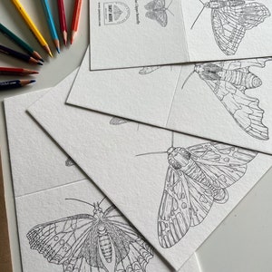Butterfly and Moth Colouring in Cards image 1