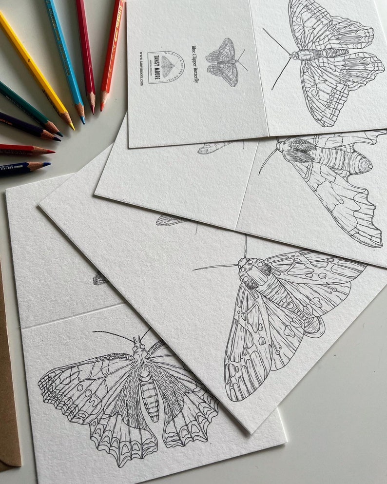 Butterfly and Moth Colouring in Cards image 1