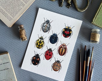 Ladybirds of the World Print, Watercolour and Gouache Print, entomology print