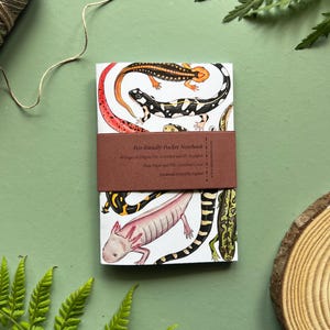 Handmade Pocket Notebook - Salamanders, mini notebook, A6 Notebook