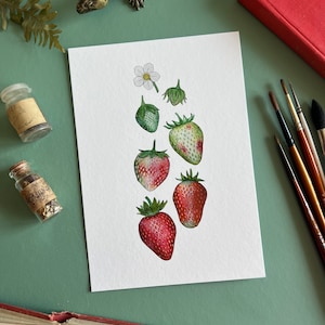 Ripening Strawberries Print, A5 Watercolour Fine Art Print image 1