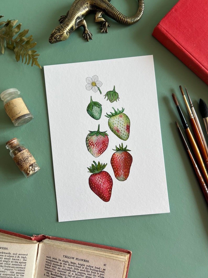 Ripening Strawberries Print, A5 Watercolour Fine Art Print image 1