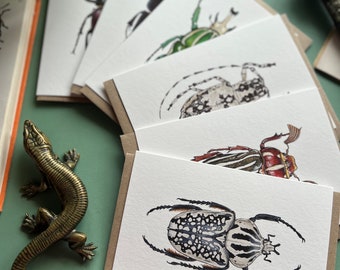 Beetle Cards Set of 6, Blank Inside, entomology cards