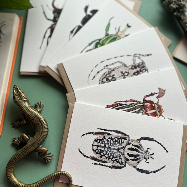 Beetle Cards Set of 6, Blank Inside, entomology cards